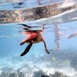 From Al-Seeb: Dimaniyat Islands Boat Trip with Snorkeling - Detailed Breakdown of the Experience