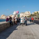 From Alexandria:- Alexandria Top Highlights half-day tour - Real Traveler Insights