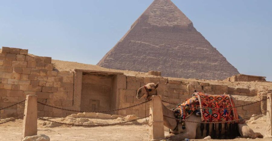 From Alexandria: Cairo, Pyramids & Egyptian Museum Day Tour - Practical Details & Tips