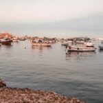From Alexandria: Highlights of Alexandria Full City Tour - Detailed Breakdown of the Itinerary