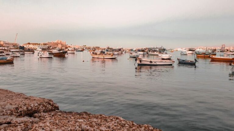 From Alexandria: Highlights of Alexandria Full City Tour - Detailed Breakdown of the Itinerary