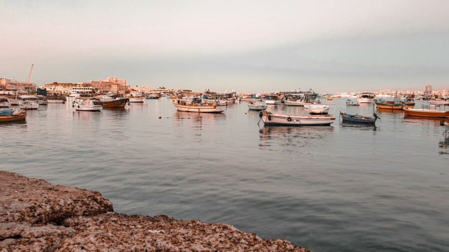 From Alexandria: Highlights of Alexandria Full City Tour - Detailed Breakdown of the Itinerary