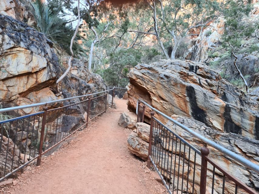 From Alice Spring: West MacDonnell Ranges Half-Day Tour - Exploring the Landmarks: What You’ll Actually Do