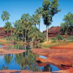 From Alice Springs: Palm Valley 4WD Outback Safari + Picnic - What Makes This Tour Stand Out?