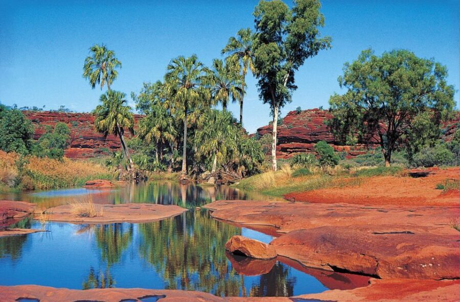 From Alice Springs: Palm Valley 4WD Outback Safari + Picnic - What Makes This Tour Stand Out?