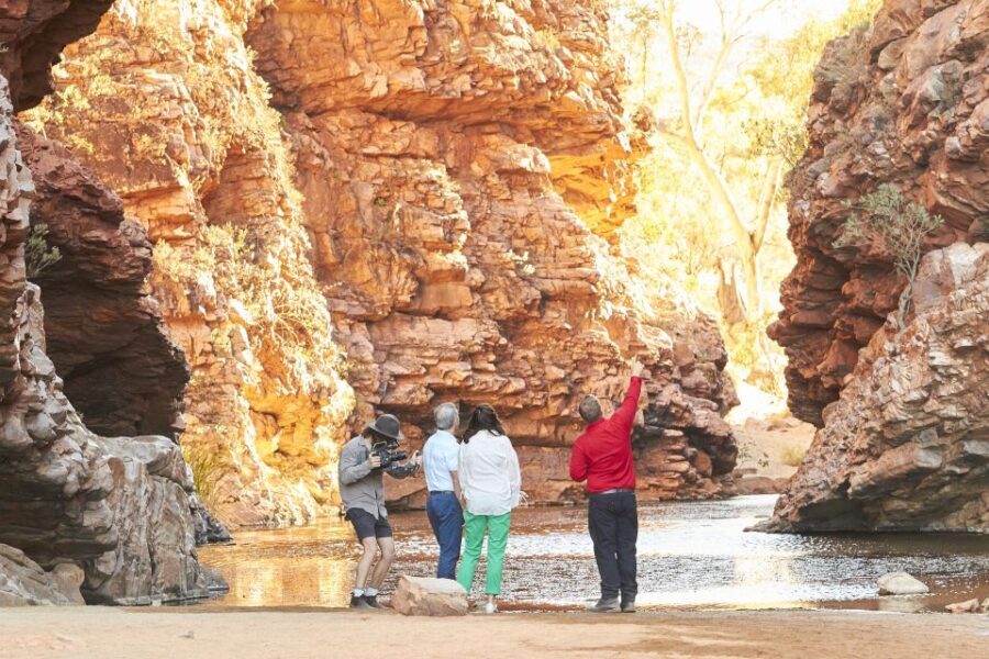 From Alice Springs: West MacDonnell Ranges Half Day Trip - What Makes This Tour Stand Out