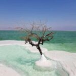 From Amman-Dead Sea, Mount Nebo, Madaba, & Baptism Day Trip - What’s Included and What’s Not