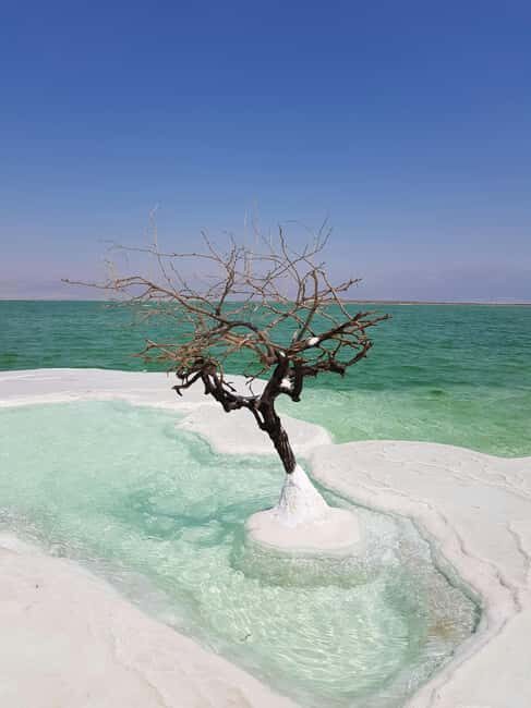 From Amman-Dead Sea, Mount Nebo, Madaba, & Baptism Day Trip - What’s Included and What’s Not