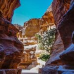 From Amman Hotel: 1- Night Private Jordan Sky Tour - What Sets This Tour Apart?