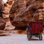 From Amman: Private Petra Day Trip with Guide - Practical Tips for Your Petra Day Trip