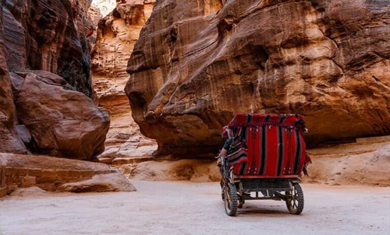From Amman: Private Petra Day Trip with Guide - Practical Tips for Your Petra Day Trip