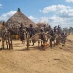 From Arba Minch: 4-Day Omo Valley Tribal Guided Tour - What to Expect from the Experience