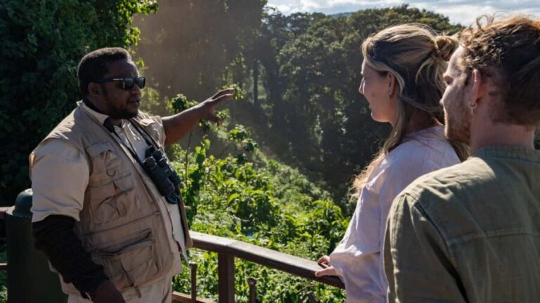 From Arusha : 11 days Complete Africa Safari North Tour - Day 4: Pololeti Game Reserve