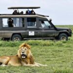 From Arusha: 4-Day Ngorongoro Safari, Lake Manyara & Maasai - Practical Details and Value for Money