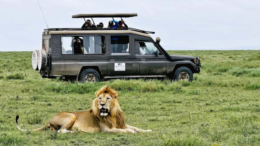From Arusha: 4-Day Ngorongoro Safari, Lake Manyara & Maasai - Practical Details and Value for Money