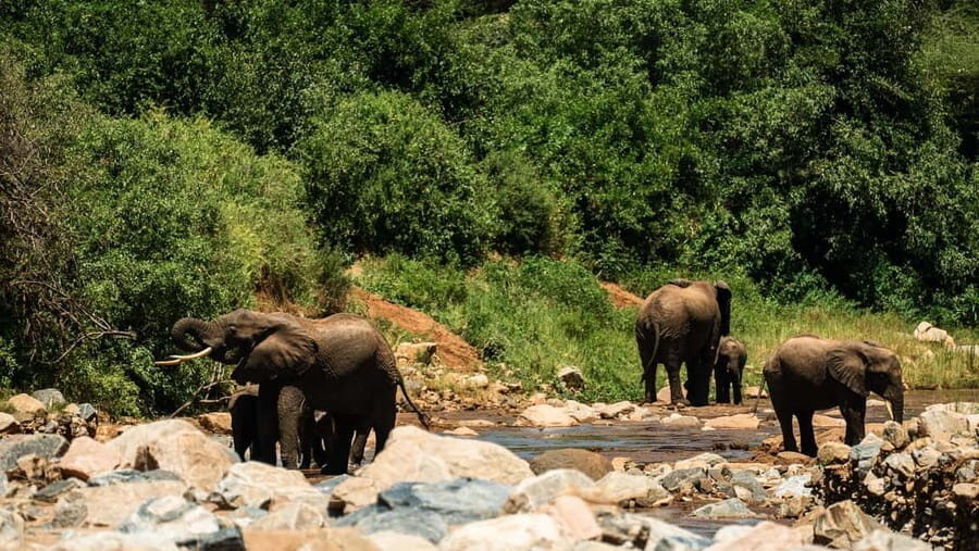From Arusha: Day Trip to Lake Manyara National Park - The Practicalities of a Full-Day Lake Manyara Safari