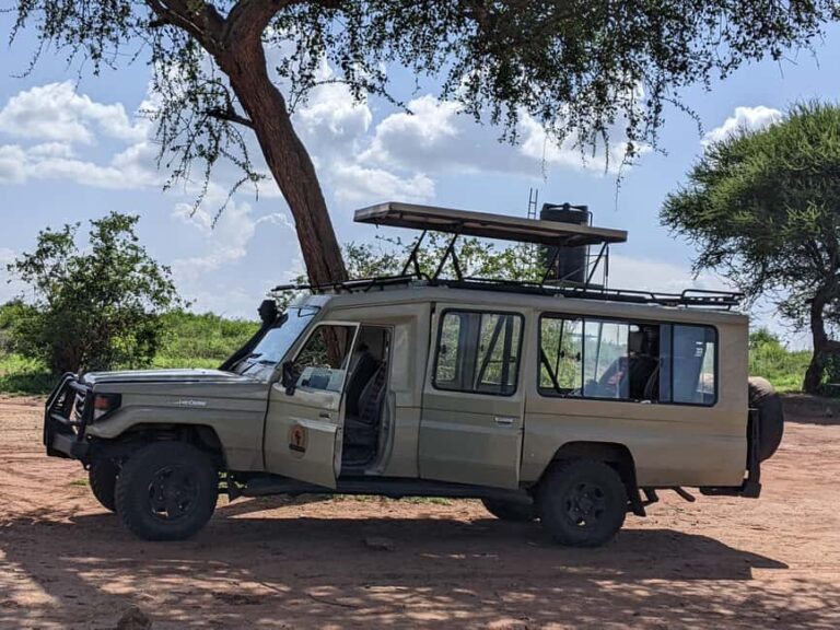 From Arusha: Materuni Waterfalls and Chagga Culture Day Trip - The Sum Up