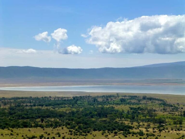 From Arusha: Ngorongoro Crater with Nature Tour and Lunch - The Sum Up