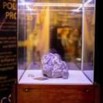 From Arusha : Tanzanite Arusha Museum Experience Guided Tour - The Sum Up