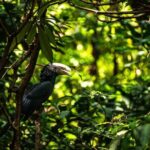 From Arusha to Zanzibar : 11 days From Bush to Beach safari - Who Is This Tour Best Suited For?