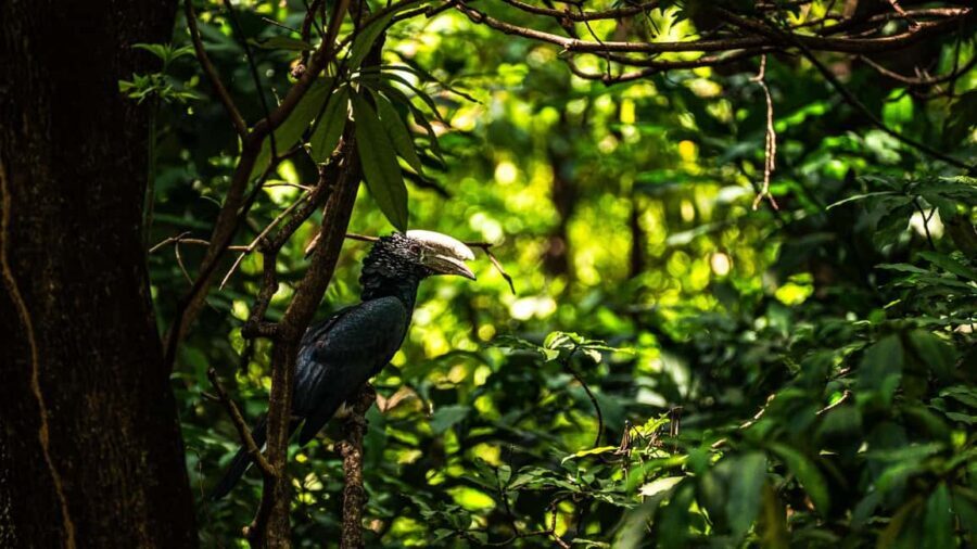 From Arusha to Zanzibar : 11 days From Bush to Beach safari - Who Is This Tour Best Suited For?