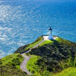 From Auckland: 6-Day Northland Tour with German Guide - Journey North to Northland and the Kauri Forests