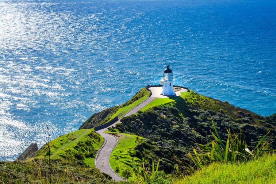 From Auckland: 6-Day Northland Tour with German Guide - Journey North to Northland and the Kauri Forests