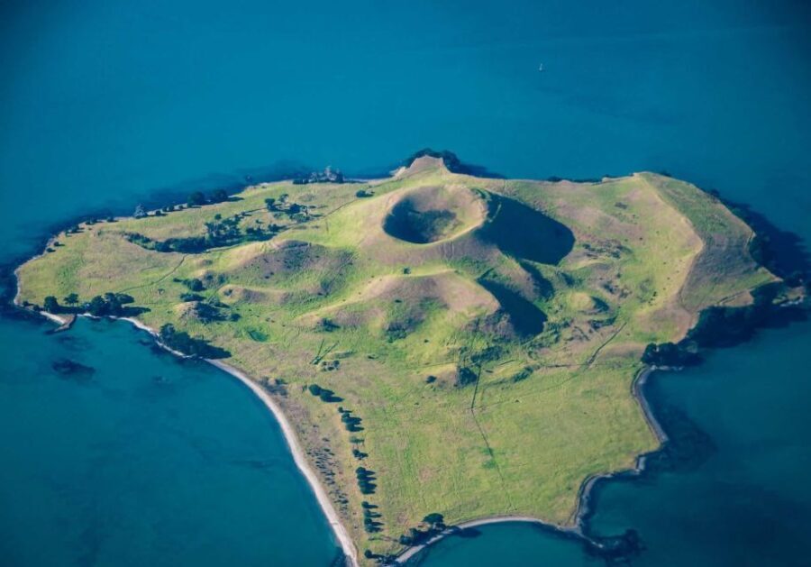 From Auckland: Browns Island Motukorea Sea Kayak Tour - What Makes This Tour Stand Out
