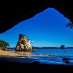 From Auckland: Cathedral Cove & Hot Water Beach Tour - The Practical Details