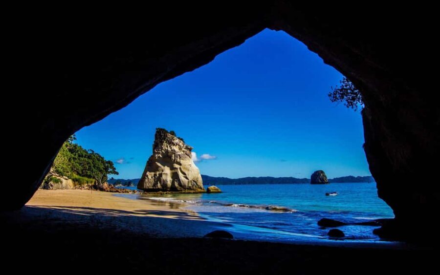 From Auckland: Cathedral Cove & Hot Water Beach Tour - The Practical Details