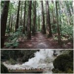 From Auckland: Day Trip to Rotorua with Optional extras - Transport and Logistics: Comfort and Convenience