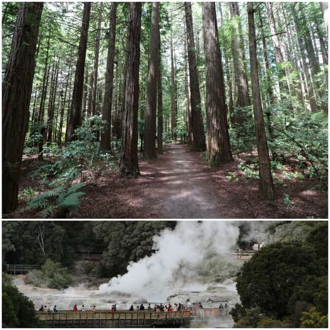 From Auckland: Day Trip to Rotorua with Optional extras - Transport and Logistics: Comfort and Convenience