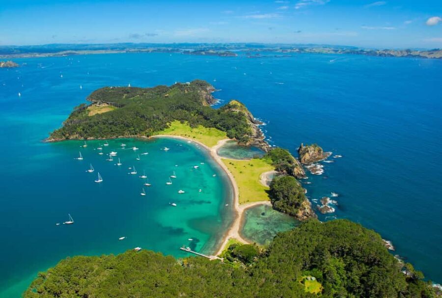 From Auckland: Full Day Private Tour to the Bay of Islands - The Itinerary Breakdown: What to Expect