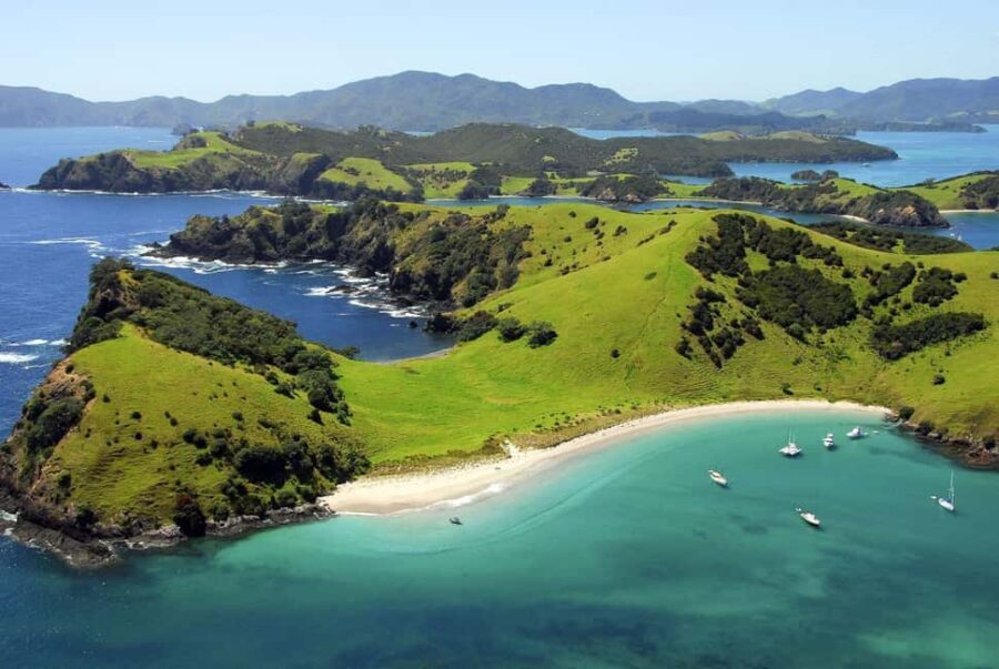 From Auckland: Full-Day Tour to the Bay of Islands - Detailed Breakdown of the Itinerary