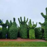 From Auckland: Hobbiton & Hamilton Gardens Small Group Tour - Hamilton Gardens: A Botanical Wonderland