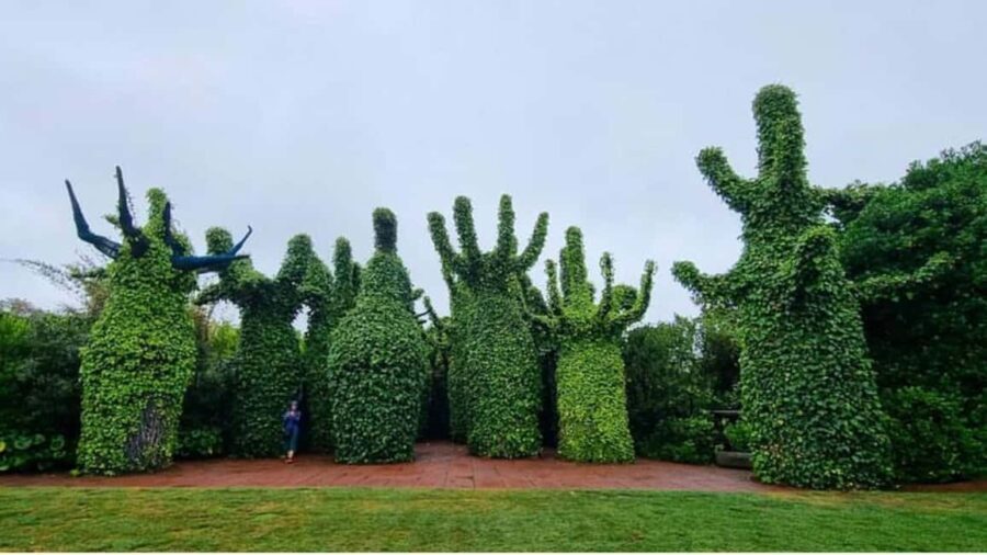 From Auckland: Hobbiton & Hamilton Gardens Small Group Tour - Hamilton Gardens: A Botanical Wonderland