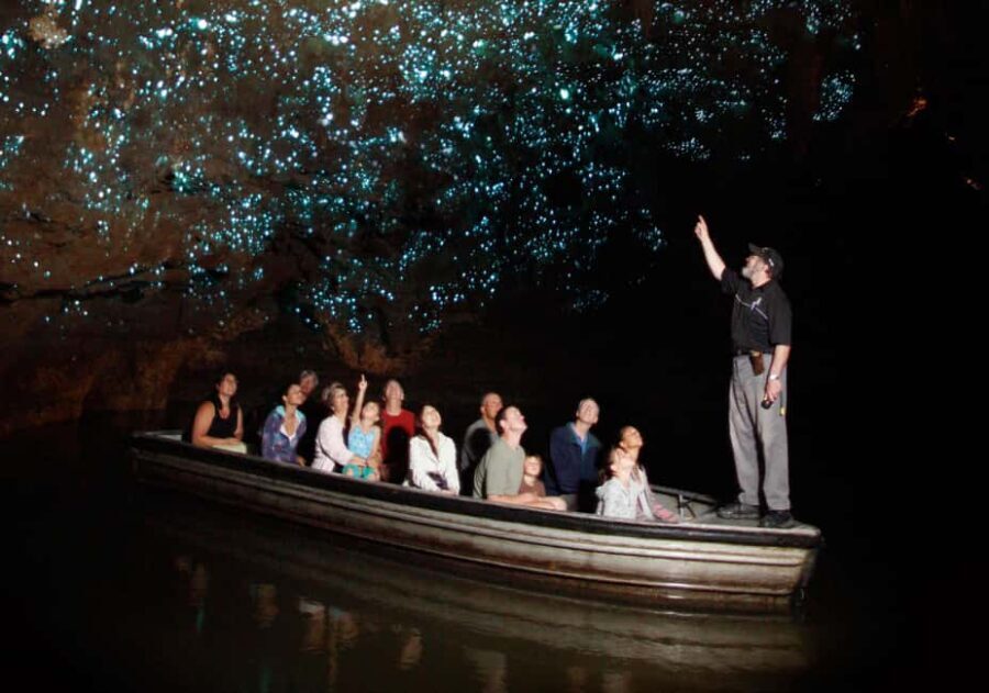 From Auckland: Hobbiton Movie Set and Waitomo Caves Tour - Itinerary Breakdown: What to Expect