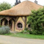 From Auckland: Hobbiton & Rotorua Tour with Lunch at Te Puia - The Sum Up: Who Is This Tour Best For?