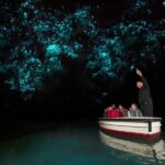 From Auckland: Hobbiton & Waitomo Caves Day Trip with Lunch - Transportation, Group Size, and Overall Value