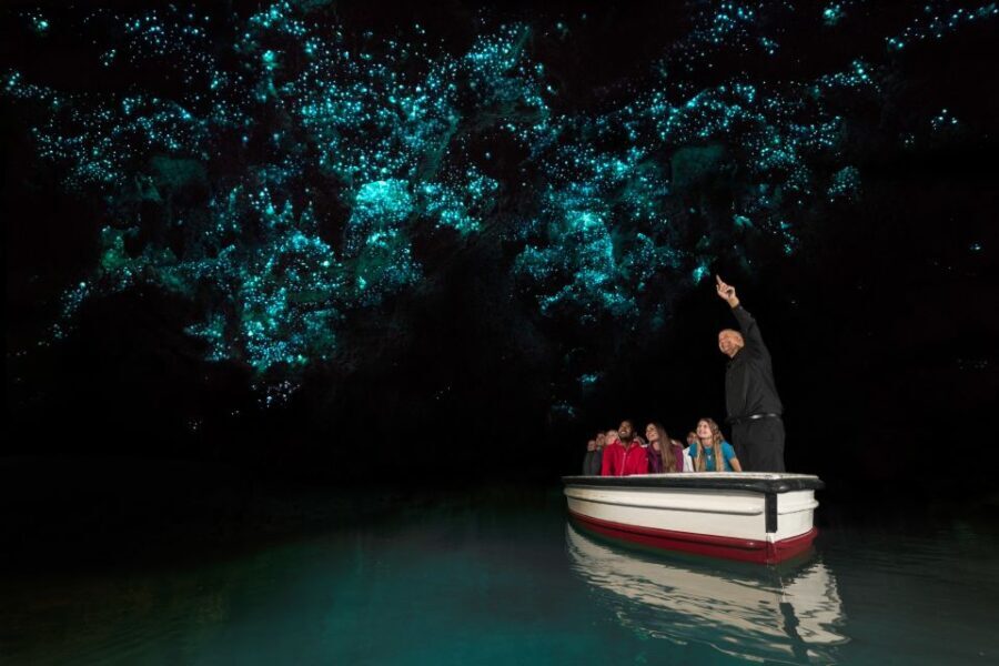 From Auckland: Hobbiton & Waitomo Caves Day Trip with Lunch - Transportation, Group Size, and Overall Value