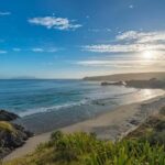 From Auckland: Kiwi Bird Encounter & 3-Course Dinner Tour - Why This Tour Offers Great Value