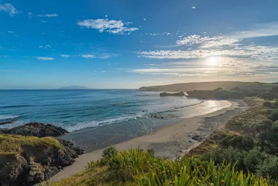 From Auckland: Kiwi Bird Encounter & 3-Course Dinner Tour - Why This Tour Offers Great Value