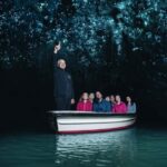 From Auckland: Rotorua Mori Village, Haka & Glowworm Caves - Practicalities and Value