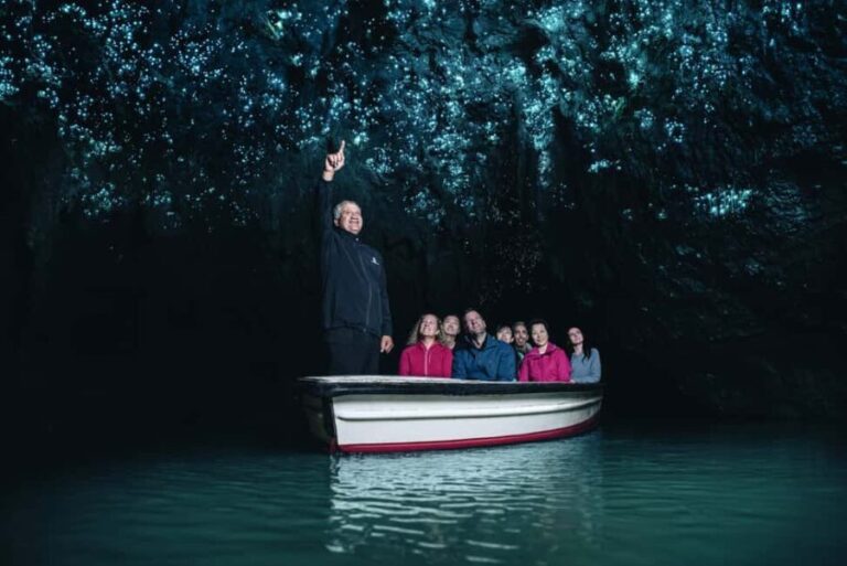 From Auckland: Rotorua Mori Village, Haka & Glowworm Caves - Practicalities and Value