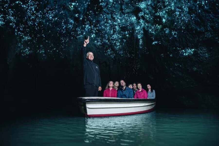 From Auckland: Rotorua Mori Village, Haka & Glowworm Caves - Practicalities and Value