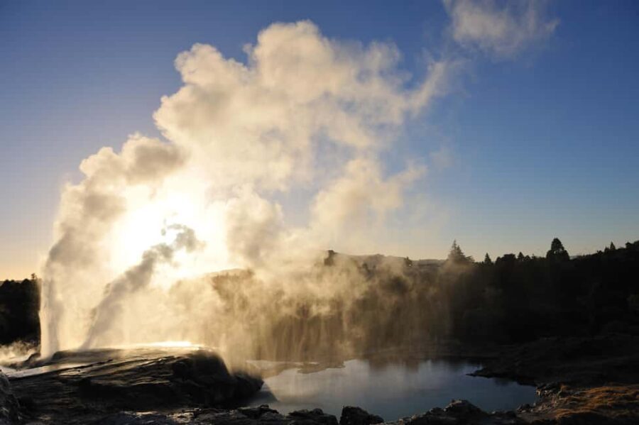 From Auckland: Rotorua Te Puia, Haka & Polynesian Spa Tour - Exploring Rotorua’s Geothermal Wonderland