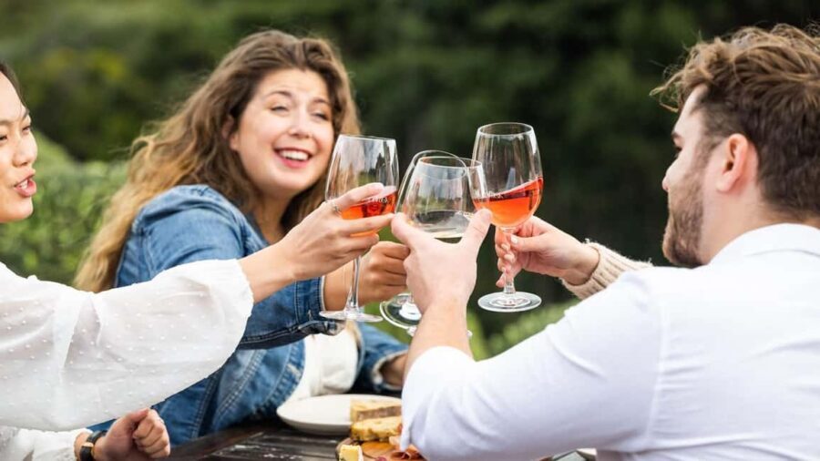 From Auckland: Taste Of Waiheke Island Day Tour - Final Thoughts: Who Will Love This Tour?