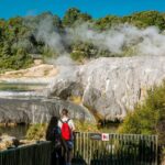 From Auckland: Te Puia Rotorua and Activity Combinations - Analyzing the Value for Your Money