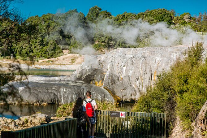 From Auckland: Te Puia Rotorua and Activity Combinations - Analyzing the Value for Your Money