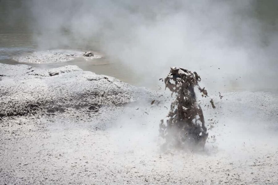 From Auckland: Wai-O-Tapu & Polynesian Spa Rotorua Day Tour - Who Will Love This Tour?